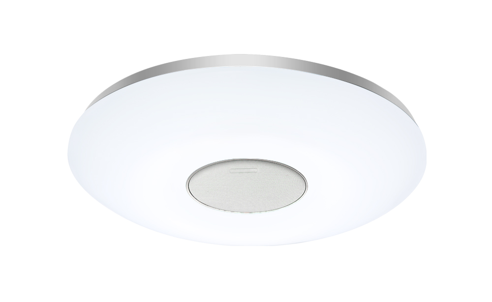 hilight31 White